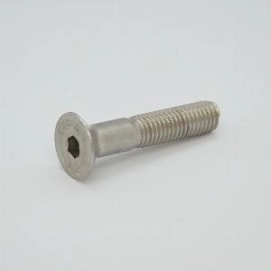 Винт DIN 7991 М 6х30 А2 TORX+PIN